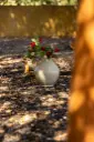 DE2A2760.webp