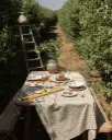 DE2A2896.webp