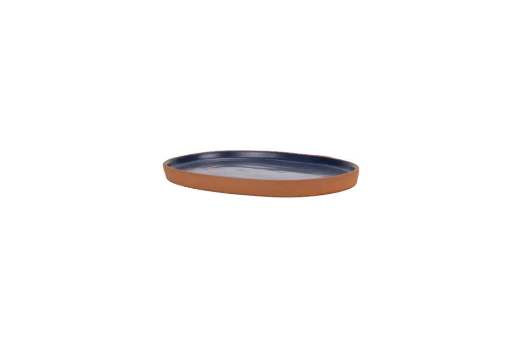 medium_tray_blue.webp